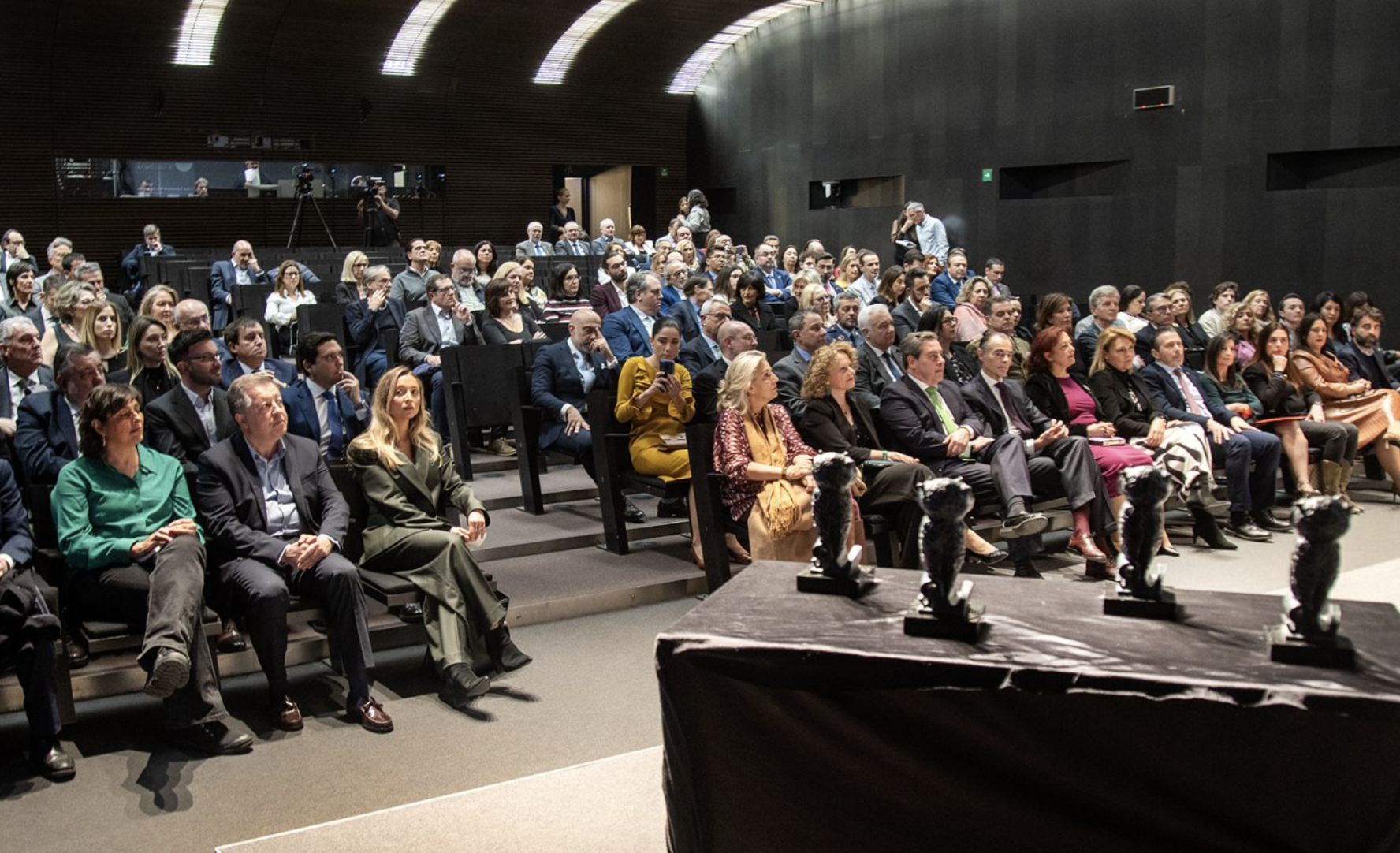 VIII EDICIÓN PREMIOS A LA EXCELENCIA PROFESIONAL